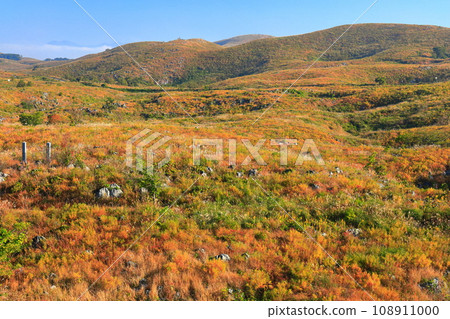 [山口縣]秋吉台（喀斯特地形） 108911000