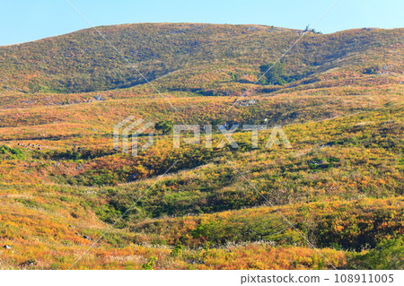 [山口縣]秋吉台（喀斯特地形） 108911005