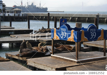 Sea seals lie on Pier 39 in San Francisco in sunny weather, USA Sea seals lie on Pier 39 in San Francisco in sunny weather, USA 108912552