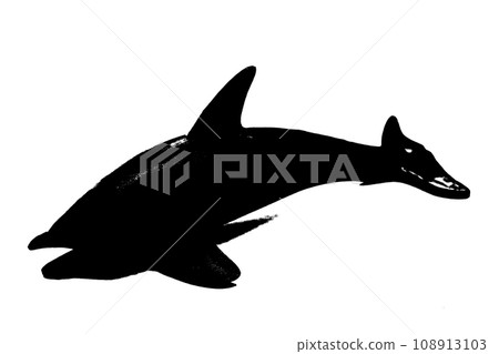 black silhouette of dolphin isolated on white background, sea creature black silhouette of dolphin isolated on white background, sea creature 108913103