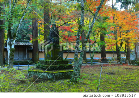 [廣島縣]佛通寺的紅葉 108913517