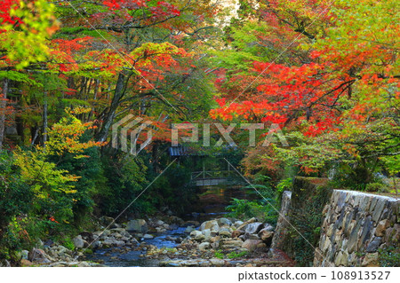 [Hiroshima Prefecture] Tobisaru Bridge at Buttsuji Temple in autumn leaves 108913527