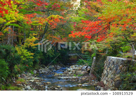 [Hiroshima Prefecture] Tobisaru Bridge at Buttsuji Temple in autumn leaves 108913529