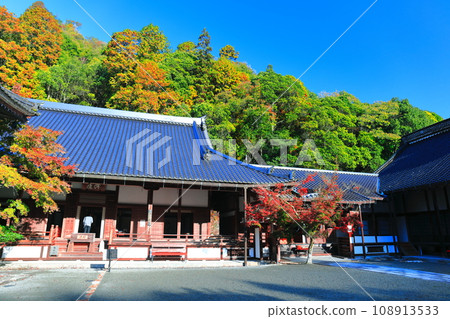 [Hiroshima Prefecture] Big Hojo of Buttsuji Temple in Autumn Leaves 108913533