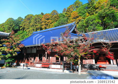 [Hiroshima Prefecture] Big Hojo of Buttsuji Temple in Autumn Leaves 108913542