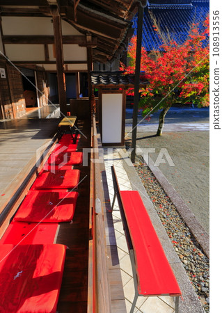 [Hiroshima Prefecture] Autumn leaves seen from the main hall of Buttsuji Temple 108913556