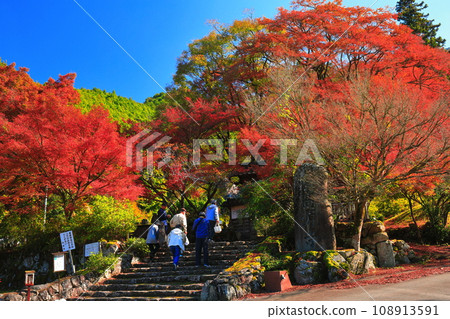 [兵庫縣] 紅葉時期的高源寺宗門 108913591