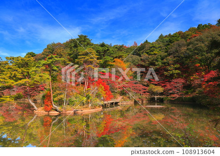 [兵庫縣] 神戶市森林植物公園 長谷池的秋葉 108913604