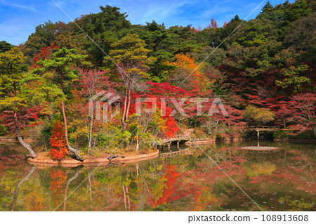 [兵庫縣] 神戶市森林植物公園 長谷池的秋葉 108913608
