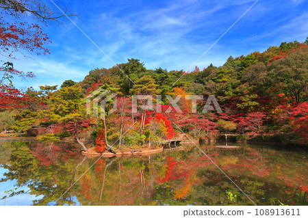 [兵庫縣] 神戶市森林植物公園 長谷池的秋葉 108913611