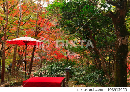 [兵庫縣] 瑞鳳寺公園（有馬溫泉）的紅葉 108913653