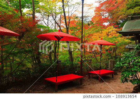 [Hyogo Prefecture] Autumn leaves at Zuihoji Park (Arima Onsen) 108913654