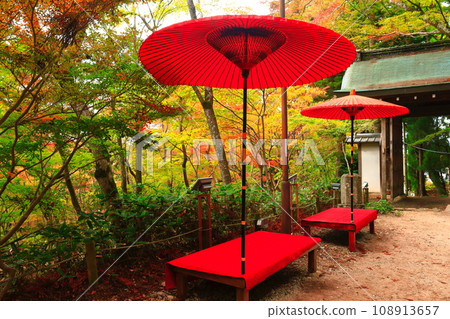 [兵庫縣] 瑞鳳寺公園（有馬溫泉）的紅葉 108913657