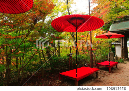 [兵庫縣] 瑞鳳寺公園（有馬溫泉）的紅葉 108913658