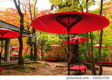 [兵庫縣] 瑞鳳寺公園（有馬溫泉）的紅葉 108913700