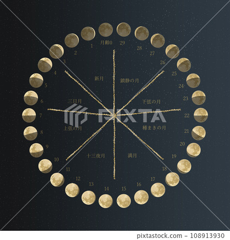 Moon phase table circle night sky_square 108913930
