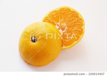 Mandarin orange Mandarin orange 108914407