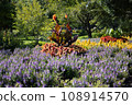 Ottawa 108914570