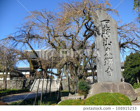 Togoji Temple and its monument in November Togoji Temple and its monument in November 108915233