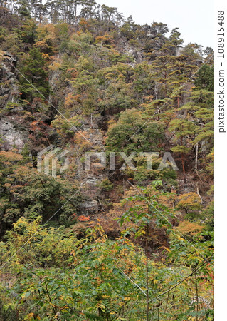 Shosenkyo Toryu Rock in autumn 108915488