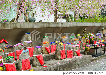 Jizo statue and cherry blossoms at Rokkakudo, Shiunzan Chohoji Temple, Kyoto (Nakagyo Ward, Kyoto City) Jizo statue and cherry blossoms at Rokkakudo, Shiunzan Chohoji Temple, Kyoto (Nakagyo Ward, Kyoto City) 108915774