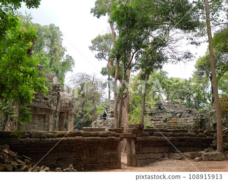 柬埔寨Ta Prohm黃金周陰天 108915913