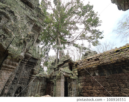 Cambodia Ta Prohm Golden Week cloudy day Cambodia Ta Prohm Golden Week cloudy day 108916551