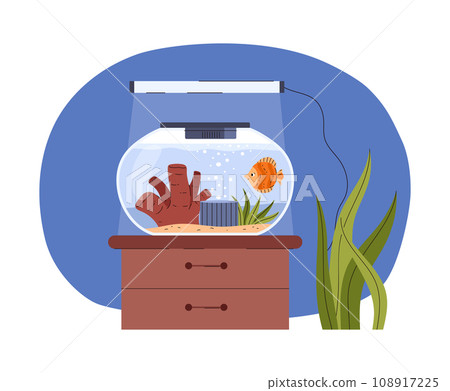 Home aquarium standing on drawer chest with a lamp and house plant on abstract background. Home aquarium standing on drawer chest with a lamp and house plant on abstract background. 108917225