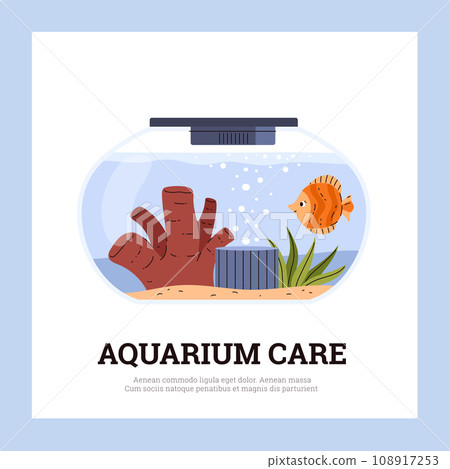 Round glass home fishbowl with orange fish, coral and seaweed and accessories, aquatic pet, Aquarium care vector poster Round glass home fishbowl with orange fish, coral and seaweed and accessories, aquatic pet, Aquarium care vector poster 108917253
