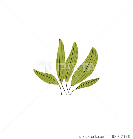 Aquarium seaweed bunch, marine flora green algae vector isolated illustration, cartoon sea plants aquarium decoration 108917338