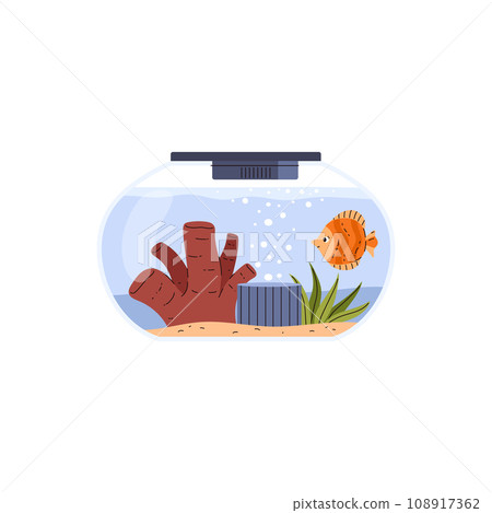Round glass home fishbowl with orange fish, coral and seaweed, algae and sand, accessories, aquarium aquatic pet vector 108917362