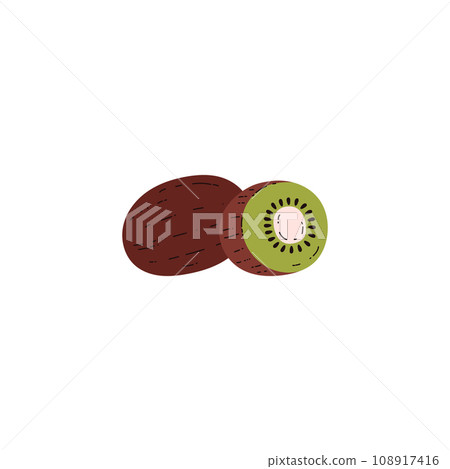 Kiwi fruit, vector cartoon illustration isolated on white background Kiwi fruit, vector cartoon illustration isolated on white background 108917416