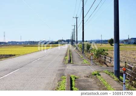Telephone poles along a rural road 108917700