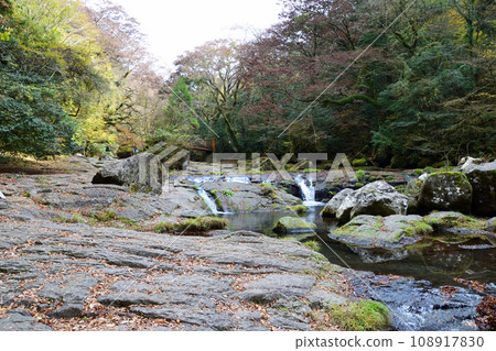 Autumn leaves in Kikuchi Valley Autumn leaves in Kikuchi Valley 108917830
