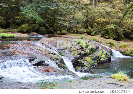 Autumn leaves in Kikuchi Valley 108917834