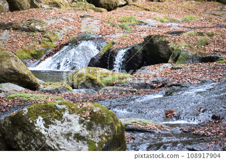 Autumn leaves of the Kikuchi Valley Autumn leaves of the Kikuchi Valley 108917904