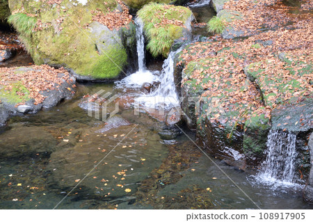 Kikuchi谷的秋葉 108917905