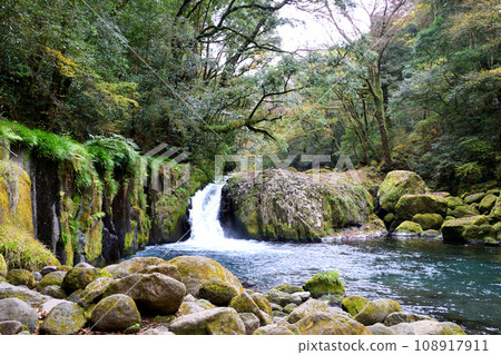 Autumn leaves of the Kikuchi Valley 108917911