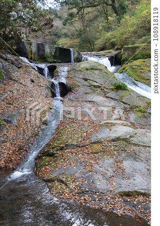 Autumn leaves of the Kikuchi Valley Autumn leaves of the Kikuchi Valley 108918119