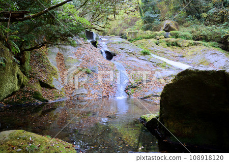 Autumn leaves of the Kikuchi Valley Autumn leaves of the Kikuchi Valley 108918120
