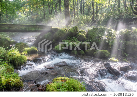 Scenery where the rays of light shine into the Kitanisawa mountain stream Scenery where the rays of light shine into the Kitanisawa mountain stream 108918126