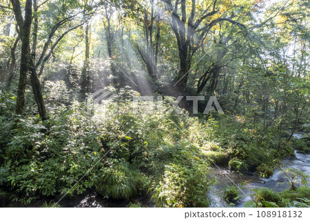 Scenery where the rays of light shine into the Kitanisawa mountain stream Scenery where the rays of light shine into the Kitanisawa mountain stream 108918132