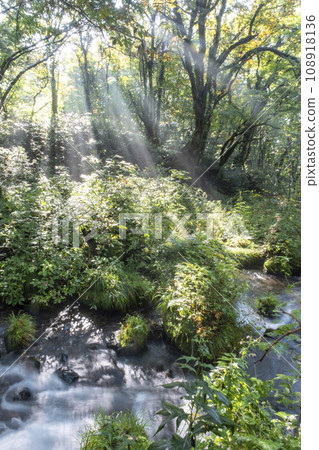 Scenery where the rays of light shine into the Kitanisawa mountain stream Scenery where the rays of light shine into the Kitanisawa mountain stream 108918136