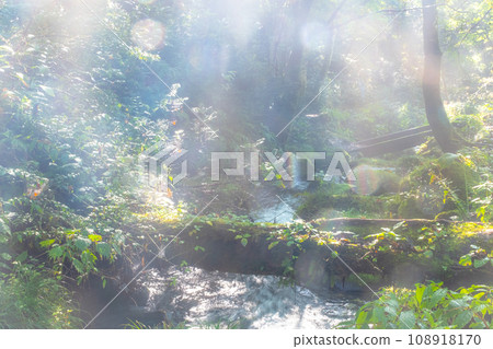 Scenery where the rays of light shine into the Kitanisawa mountain stream Scenery where the rays of light shine into the Kitanisawa mountain stream 108918170