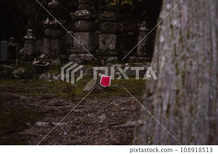 Travel to Mt. Koya 108918513