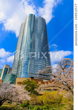 東京、港區、六本木、毛利花園櫻花和六本木Hills 108918577