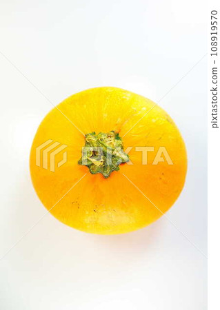 Pumpkin Pumpkin Pumpkin Pumpkin Pumpkin Pumpkin 108919570