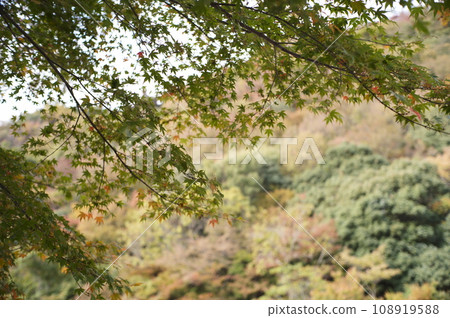 小豆島旅遊 小豆島旅遊 108919588