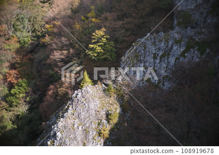 小豆島之旅 小豆島之旅 108919678