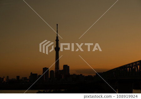 夕陽染紅的天空樹 夕陽染紅的天空樹 108919924